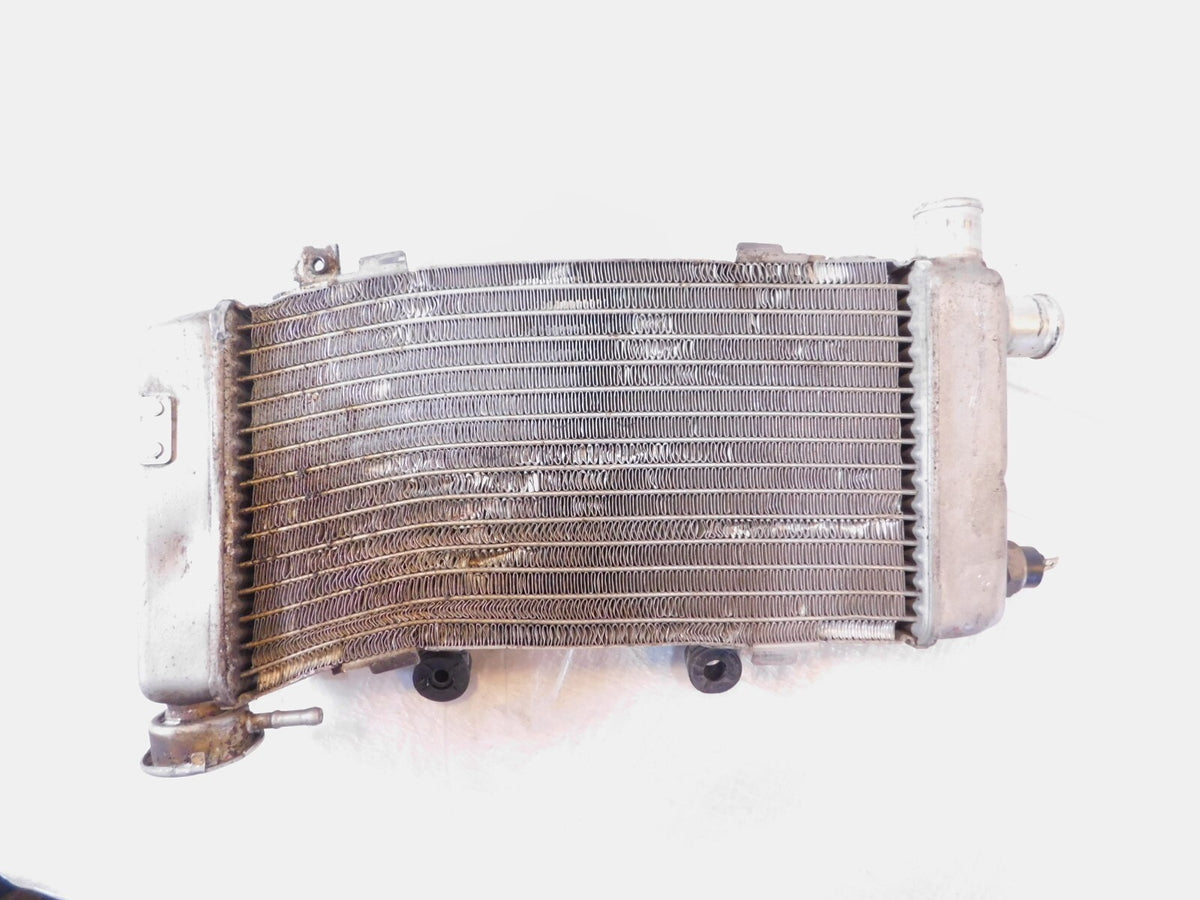 Honda VTR1000F Super Hawk Firestorm VTR1000 Front Right Engine Cooling Radiator - C3 Cycle