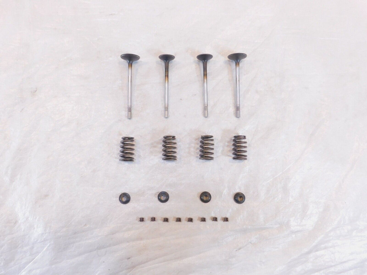 Victory Hammer Kingpin & Vegas Exhaust & Intake Valves w/ Retainers & Springs - C3 Cycle