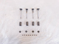 Victory Hammer Kingpin & Vegas Exhaust & Intake Valves w/ Retainers & Springs - C3 Cycle