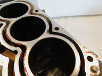 2019-2024 Can-Am Ryker 900 ACE Rally Sport Engine Motor Block Cylinder Crankcase - C3 Cycle