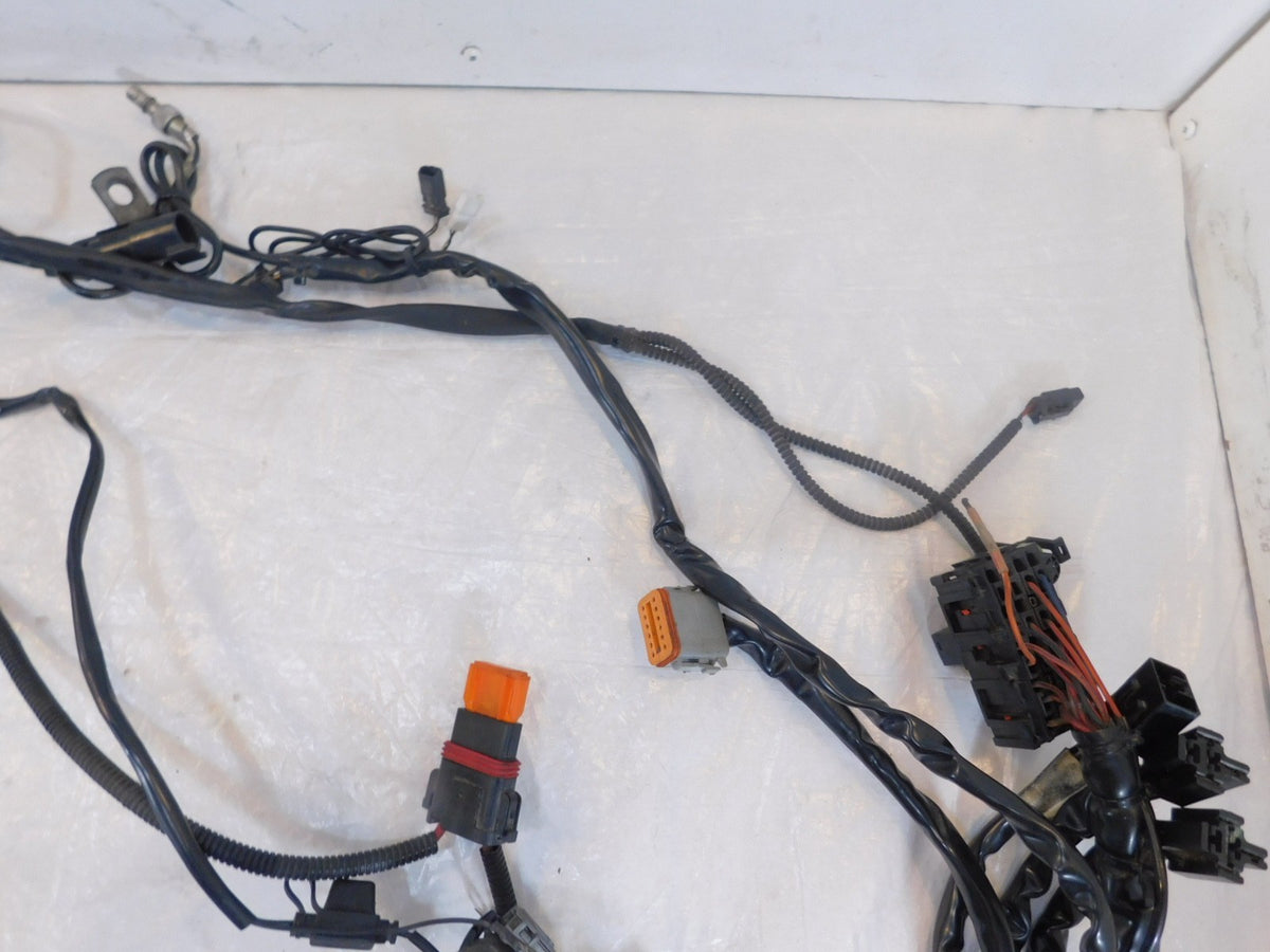 Harley Davidson Touring Road & Electra Glide Main & EFI Wiring Wire Harness Loom - C3 Cycle