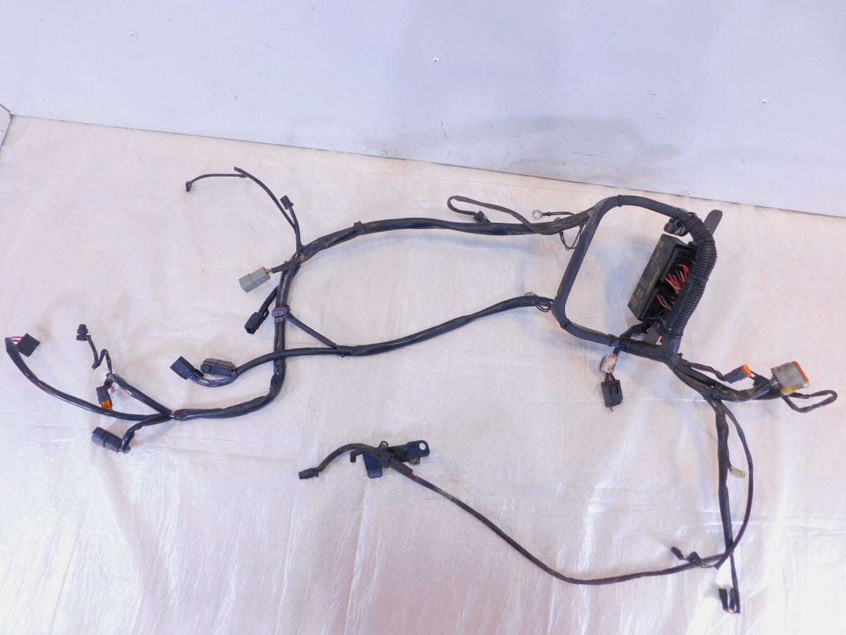 2001 & 2002 Harley Davidson Softail Heritage Classic Main Wiring Wire Harness - C3 Cycle