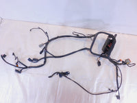 2001 & 2002 Harley Davidson Softail Heritage Classic Main Wiring Wire Harness - C3 Cycle