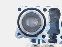2018 & 2019 Suzuki GSX250R GSX 250R Engine Motor Cylinder Barrel Jugs & Pistons - C3 Cycle