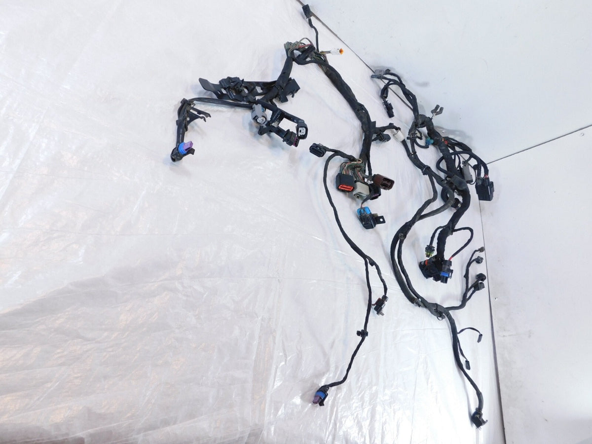 2018-2020 Harley Davidson Softail Low Rider & Fat Boy Main Wire Wiring Harness
