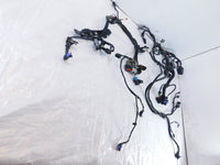 2018-2020 Harley Davidson Softail Low Rider & Fat Boy Main Wire Wiring Harness