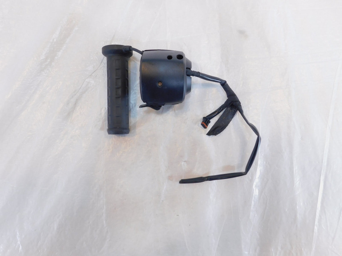 Harley Davidson Pan America 1250 1250S Handlebar Switch Buttons & Heated Grip - C3 Cycle