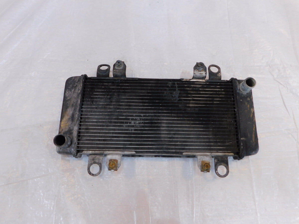 2013-2017 Kawasaki EX300 Ninja 300 Engine Motor Water Cooling Coolant Radiator - C3 Cycle