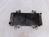 2013-2017 Kawasaki EX300 Ninja 300 Engine Motor Water Cooling Coolant Radiator - C3 Cycle