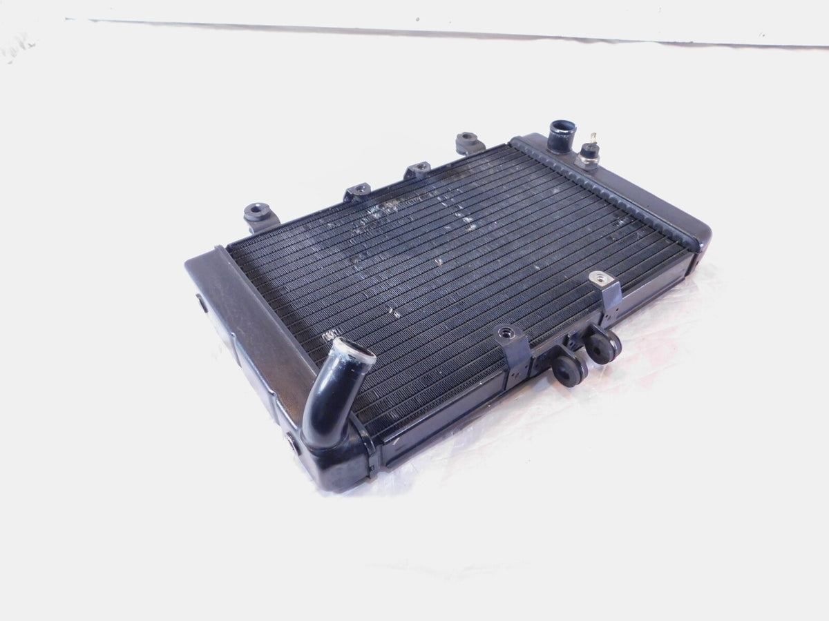 1994-1995 Honda CB1000 CB 1000 Front Engine Motor Water Cooling Coolant Radiator - C3 Cycle