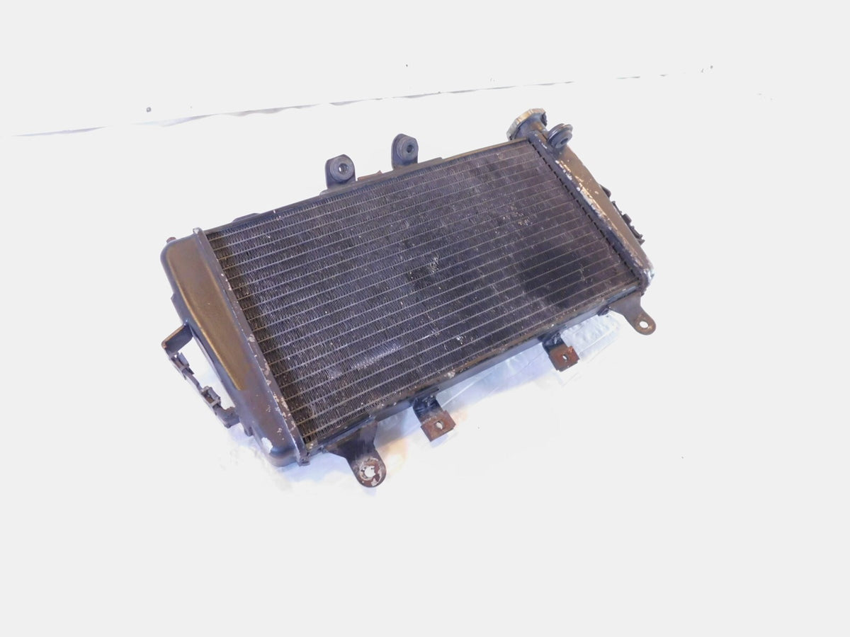 2007 2008 2009 2010 2011 2012 Triumph Tiger 1050 Engine Motor Cooling Radiator - C3 Cycle