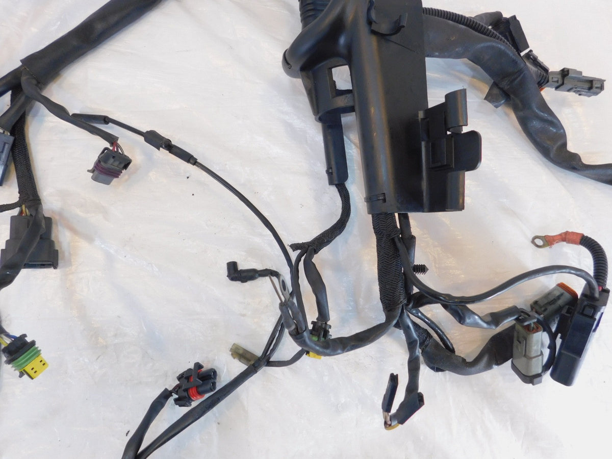2006 06 Harley Davidson Sportster 883 & 1200 Main Wire Wiring Harness - no Key - C3 Cycle
