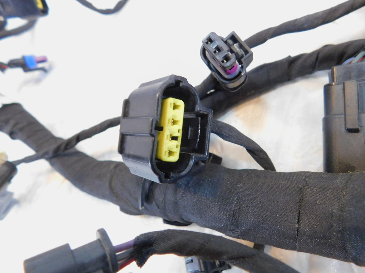 Harley Pan America RA1250S Special Electrical Engine Wire Cable Wiring Harness - C3 Cycle