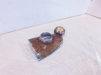 Harley Sportster 883 & 1200 Right Engine Motor Side Gearcase Cam Cover Protector - C3 Cycle