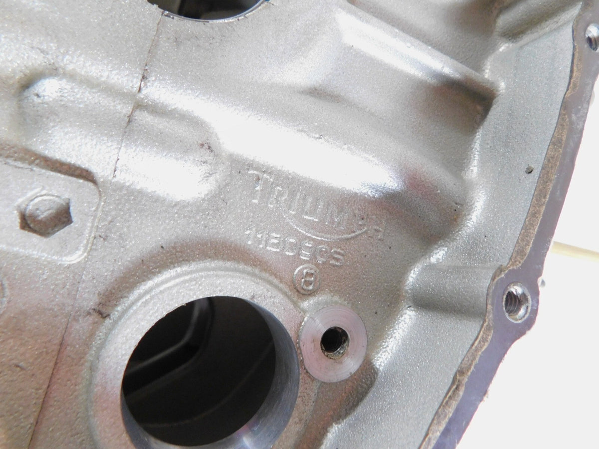 2001-2008 Triumph America Silver Engine Motor Block Crankcase Cases - T1161132 - C3 Cycle