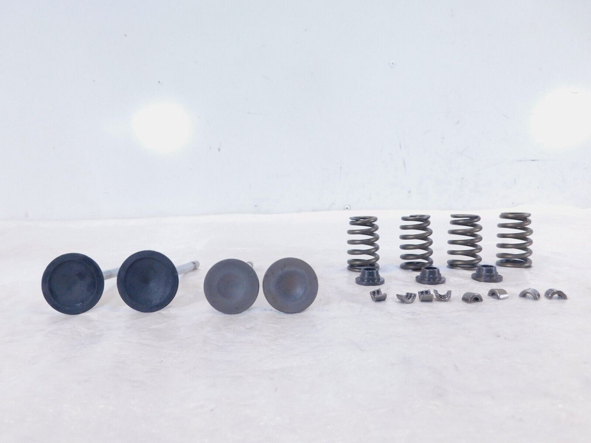 Victory Vision Kingpin & Vegas Intake/Exhast Valves w/ Springs & Retainer Seats - C3 Cycle