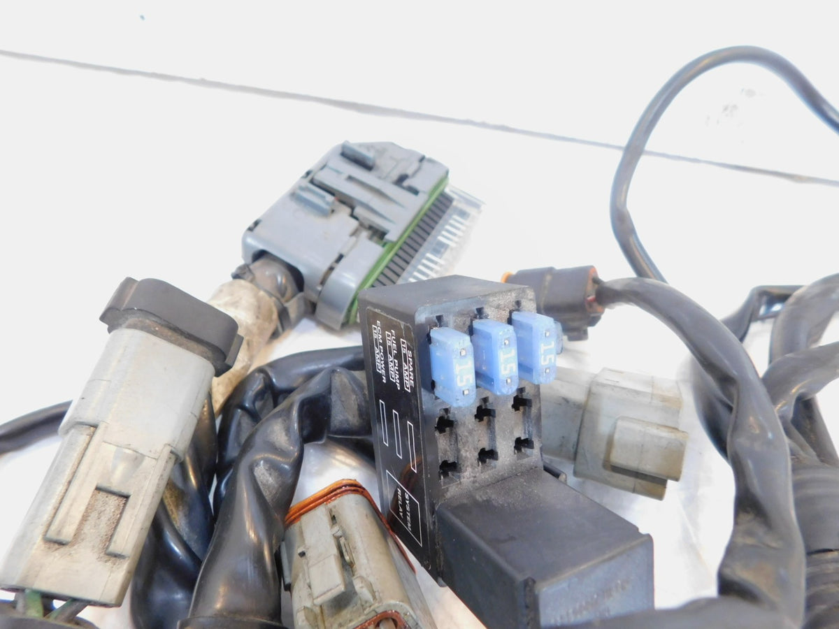 Harley Davidson Touring Road & Electra Glide Main & EFI Wiring Wire Harness Loom - C3 Cycle