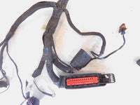 Victory Boardwalk Highball Judge Electrical Main Wiring Harness Wire Cable Loom - C3 Cycle