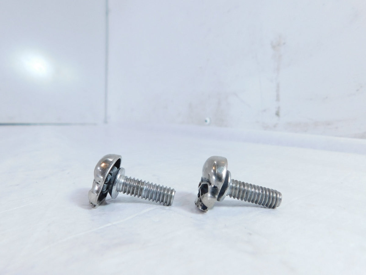 Harley Davidson Sportster Dyna Softail & Touring Licence Plate Skull Head Screws - C3 Cycle