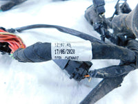 2021 21 Royal Enfield Himalayan 410 LS410 USA Main Wire Harness Wiring Loom - C3 Cycle