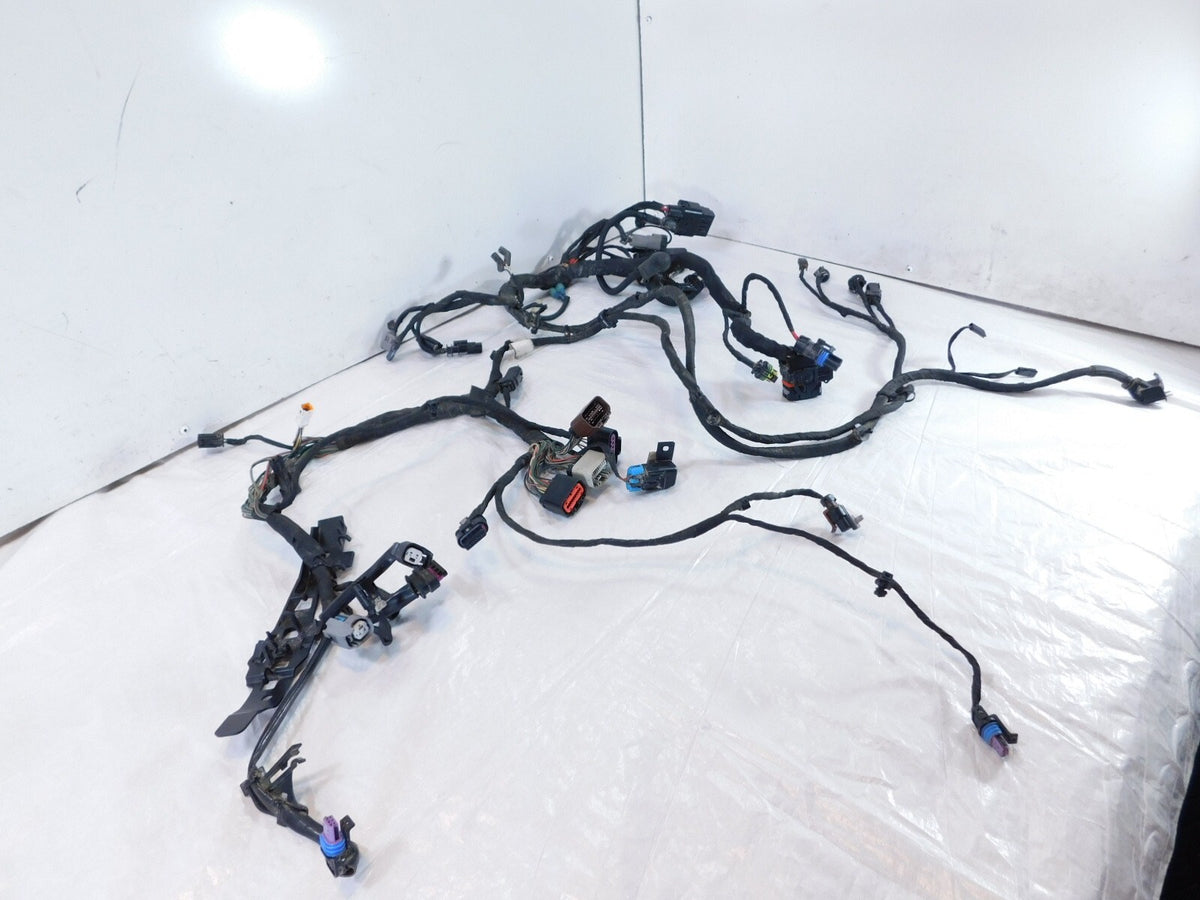 2018-2020 Harley Davidson Softail Low Rider & Fat Boy Main Wire Wiring Harness