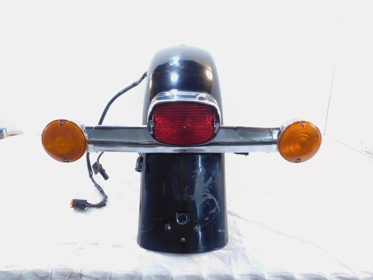 Harley Davidson EVO Road King Tour & Electra Glide Rear Fender & Turn Signals - C3 Cycle