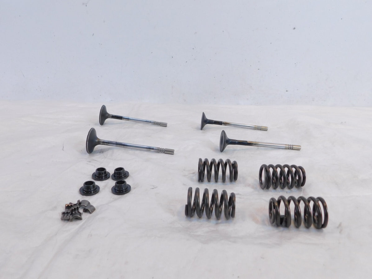 Victory Vision Kingpin & Vegas Exhaust & Intake Valves w/ Springs & Retainers - C3 Cycle
