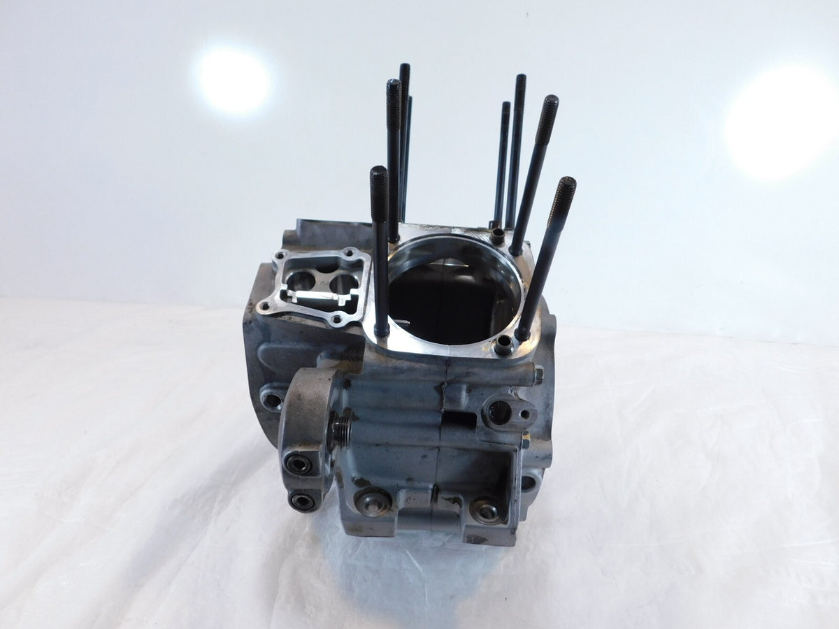 Harley Davidson Road King Electra Glide & Dyna Silver Engine Motor Crank Cases - C3 Cycle