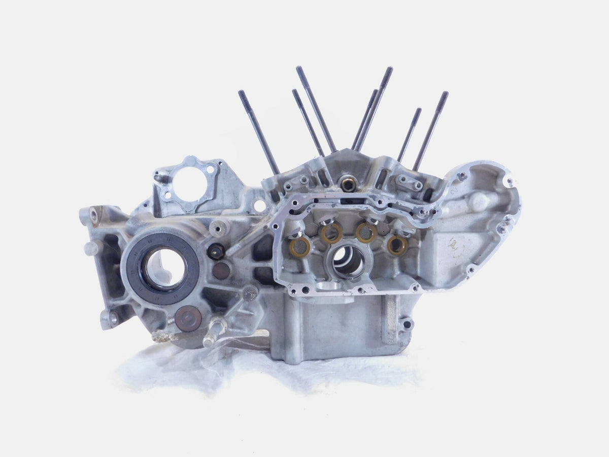 Buell M2 Cyclone S3 Thunderbolt & X1 Lightning Engine Motor Crankcases Cases