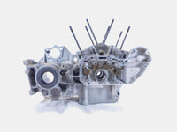 Buell M2 Cyclone S3 Thunderbolt & X1 Lightning Engine Motor Crankcases Cases