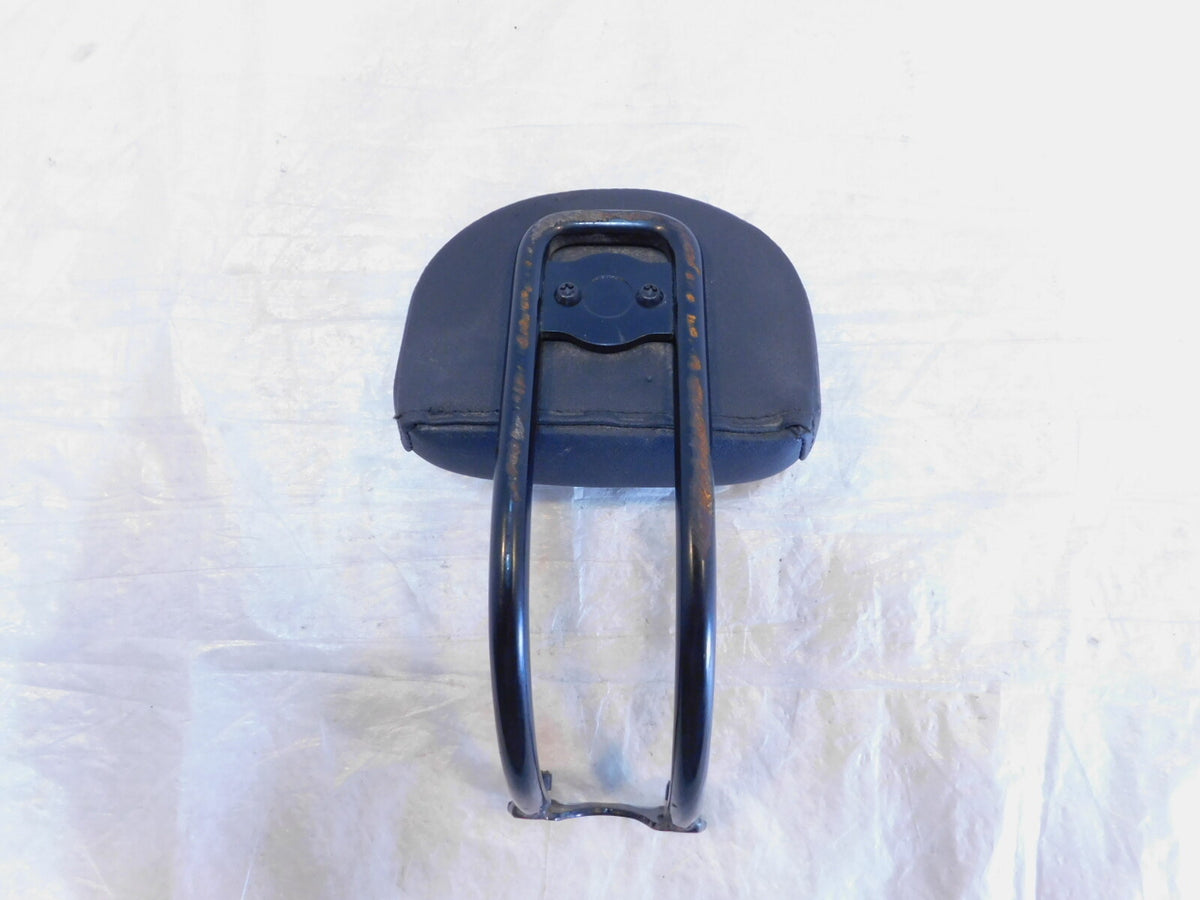 Harley Davidson Sportster S 1250 RH1250S Sissybar Rear Passenger Backrest
