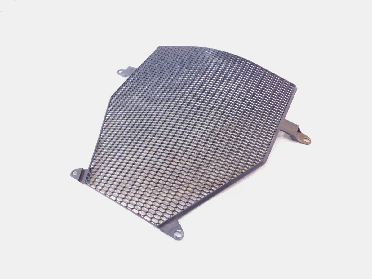 BMW K1200R K1300 K1300S K1300GT K1600GTL K1600GT Radiator Protective Grill Cover