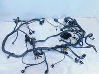 2002 2003 2004 Triumph Sprint 955 ST Main Wire Wiring Harness Loom - C3 Cycle