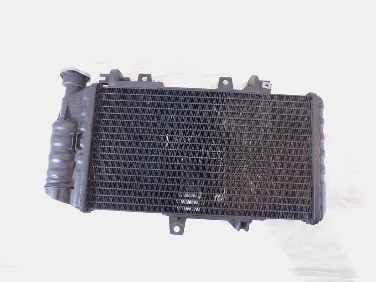 BMW F800 F800R F800S F800ST F700GS F650GS Engine Motor Water Cooling Radiator - C3 Cycle