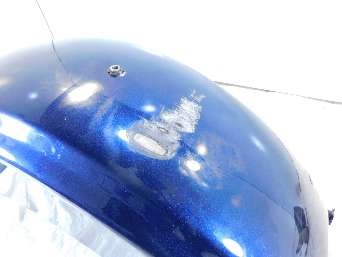 2009-2013 Harley Davidson FLTR Road Glide Blue Rear Wheel Cover Fender - C3 Cycle