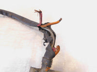 1995-2009 Suzuki Savage 650 LS650 Boulevard S40 Engine Ignition Switch For Parts - C3 Cycle