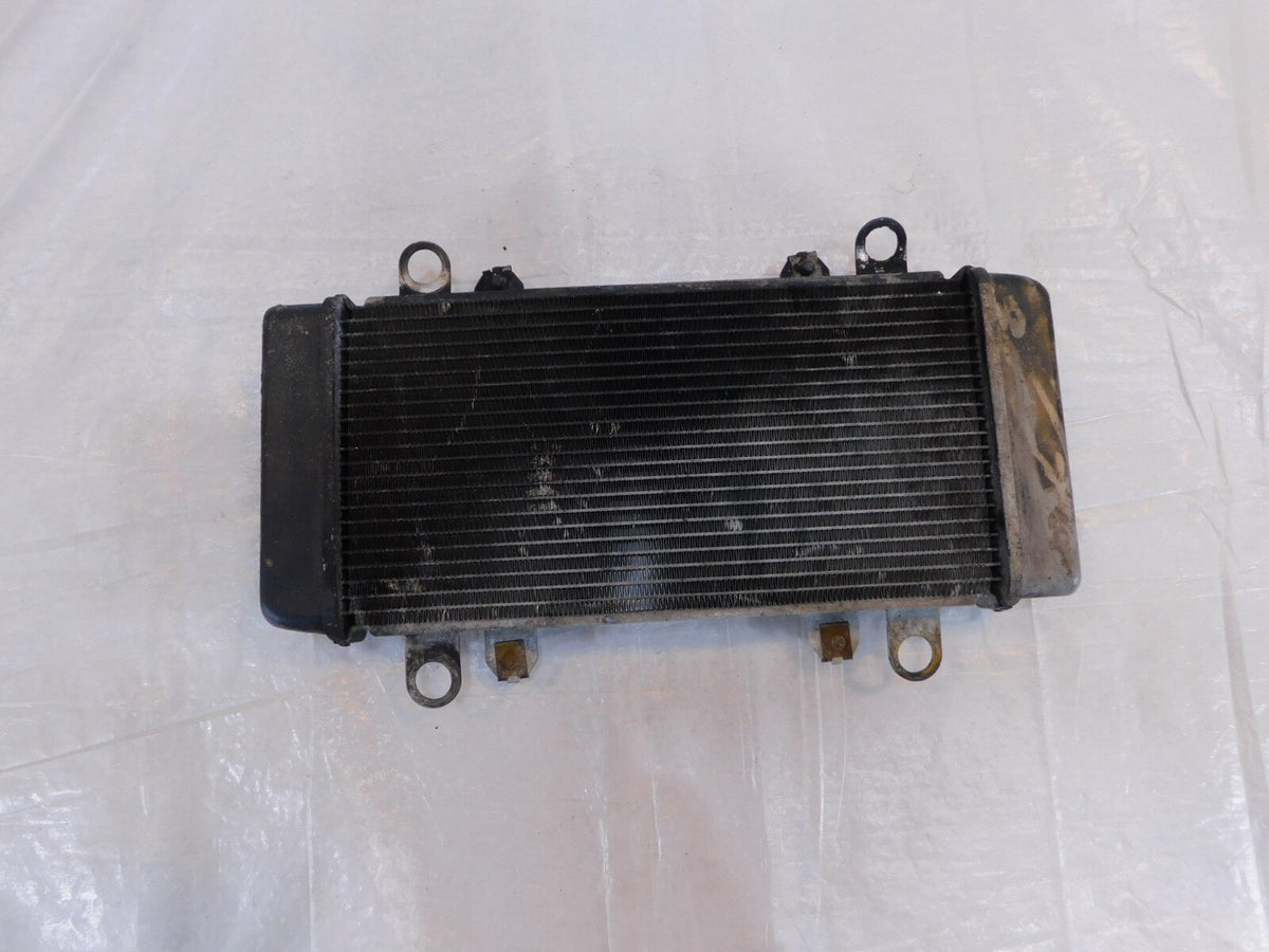 2013-2017 Kawasaki EX300 Ninja 300 Engine Motor Water Cooling Coolant Radiator - C3 Cycle