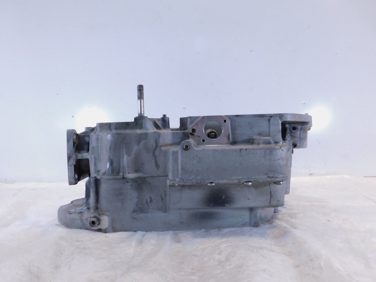 Buell M2 Cyclone S3 Thunderbolt & X1 Lightning Engine Motor Crankcases Cases