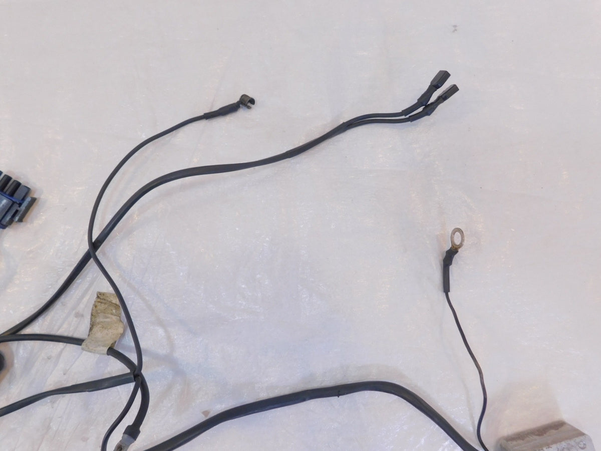 2002-2003 Indian Gilroy Scout Spirit Engine Wire Wiring Harness Ignition Module - C3 Cycle