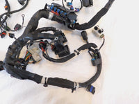 17 Indian Chief Chieftain Roadmaster & Springfield Main Wire Wiring Harness Loom - C3 Cycle