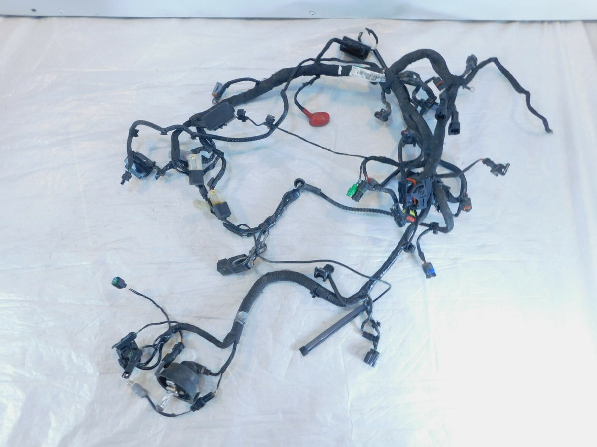 2017-2020 17-20 BMW G310R G310 Main Electrical Wire Harness Wiring Loom - C3 Cycle
