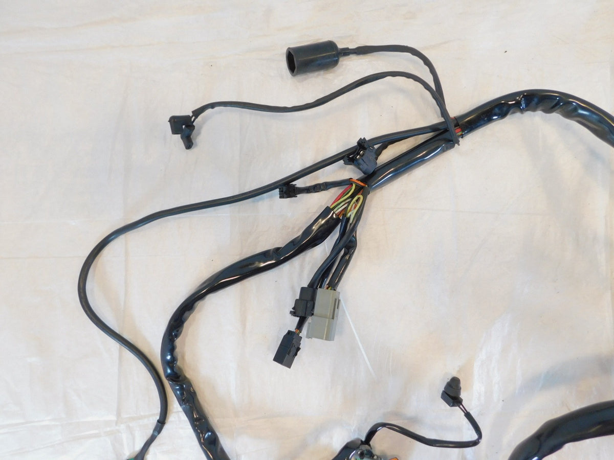 Harley Davidson Softail Heritage Classic & Fat Boy EFI Main Wire Wiring Harness - C3 Cycle