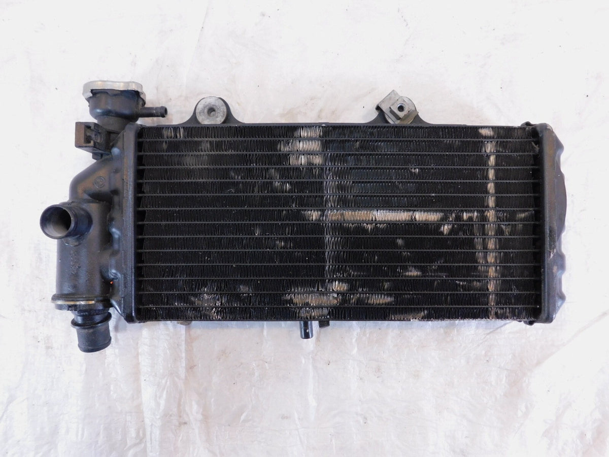 BMW F650CS F650GS Dakar & G650GS Sertao Engine Motor Water Cooling Radiator - C3 Cycle