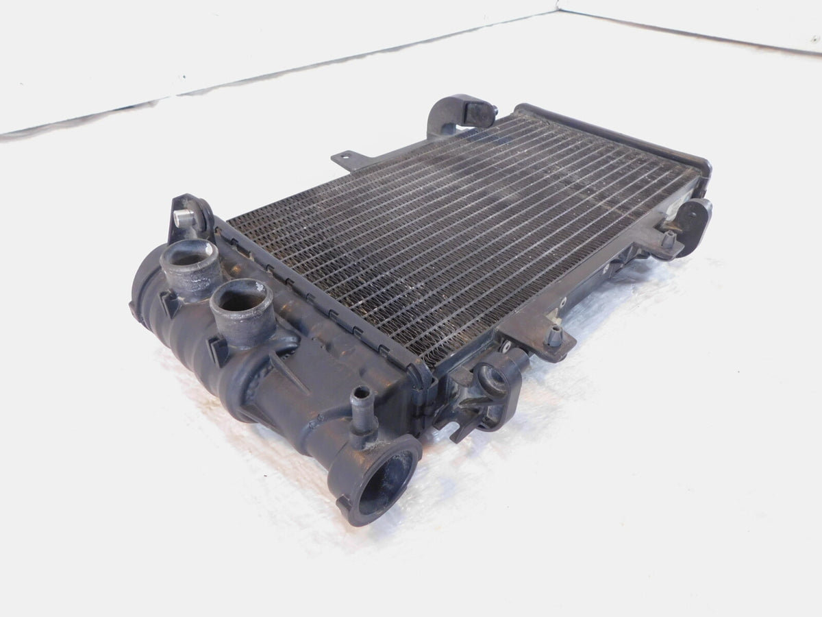 BMW F800 F800R F800S F800ST F700GS F650GS Engine Motor Water Cooling Radiator - C3 Cycle