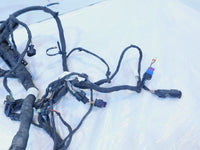 Harley Davidson Pan America RA1250 1250 1250S Engine Wire Wiring Harness Loom - C3 Cycle