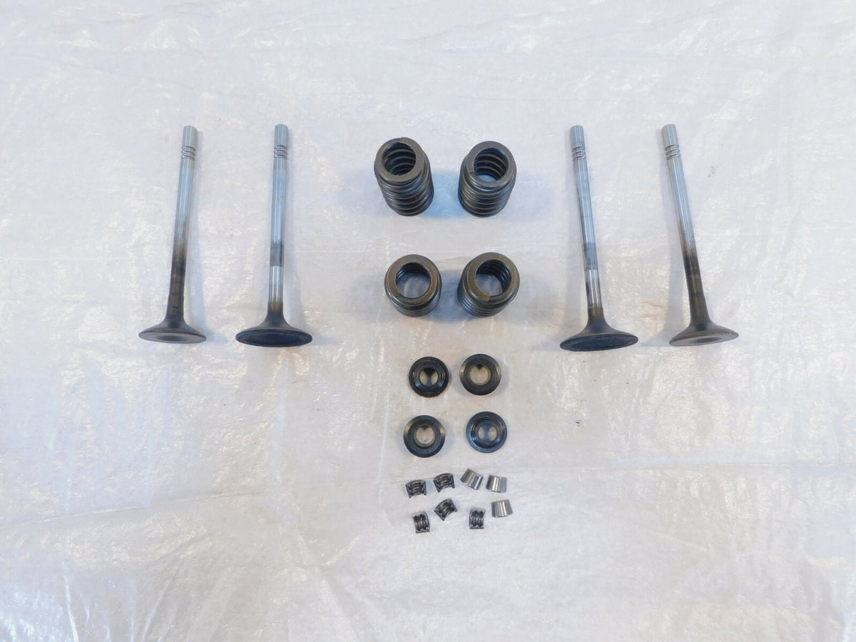 Victory Vision Kingpin & Vegas Exhaust & Intake Valves w/ Retainers & Springs - C3 Cycle