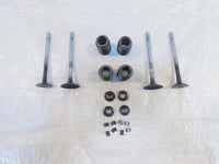 Victory Vision Kingpin & Vegas Exhaust & Intake Valves w/ Retainers & Springs - C3 Cycle