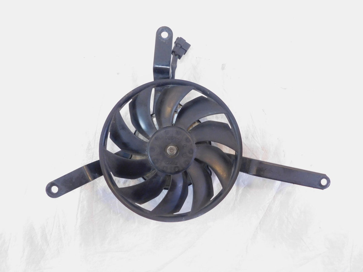 2006-2013 Triumph Daytona 675 675R SE Engine Motor Cooling Radiator Fan Blower - C3 Cycle
