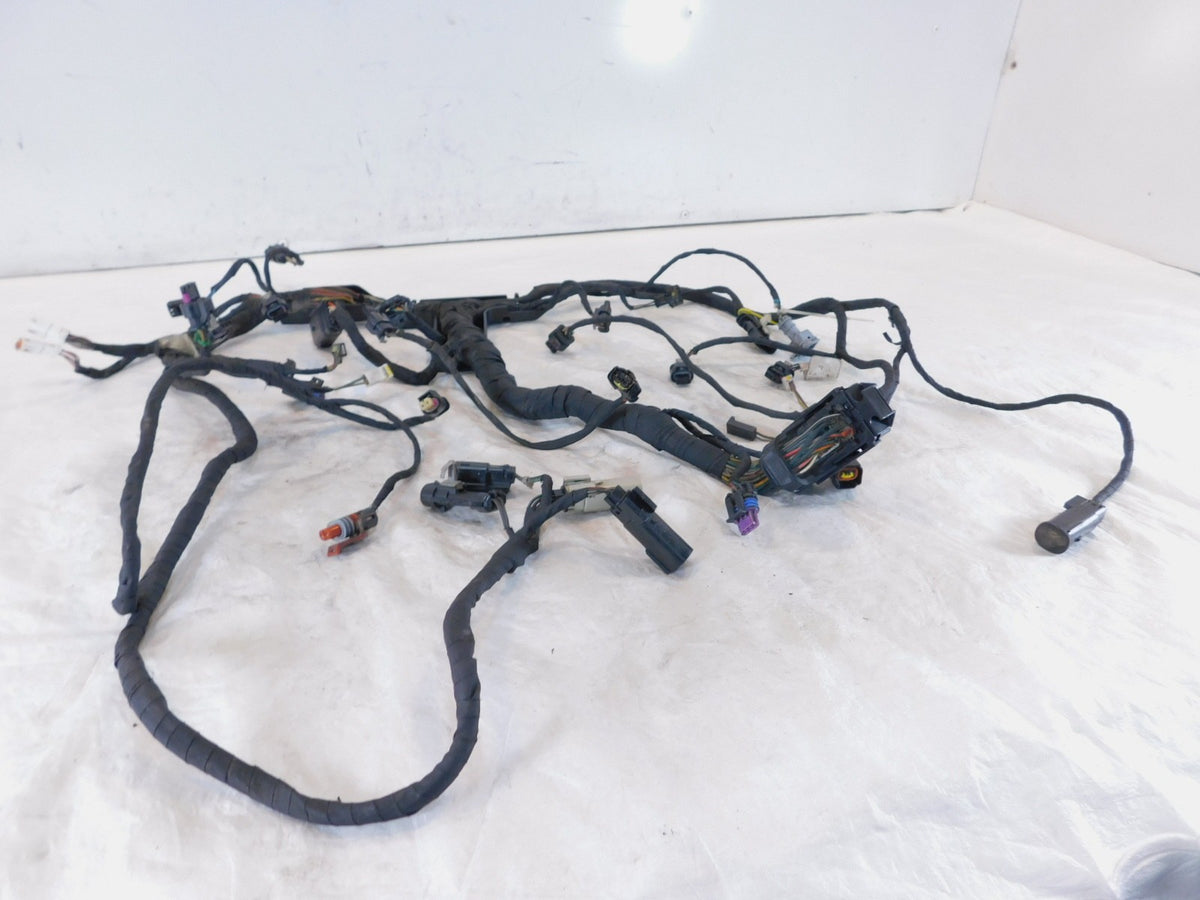Harley Davidson Pan America RA1250 1250 1250S Engine Wire Wiring Harness Loom - C3 Cycle