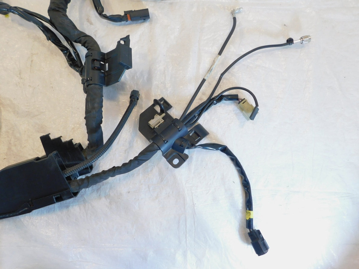 2015 Harley Davidson Tri Glide Ultra Classic Trike Main Wire Wiring Harness Loom - C3 Cycle